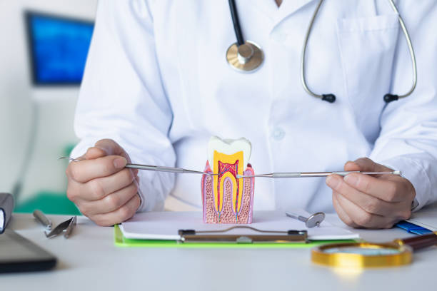 Best Emergency Dental Surgery in Cedar Springs, MI